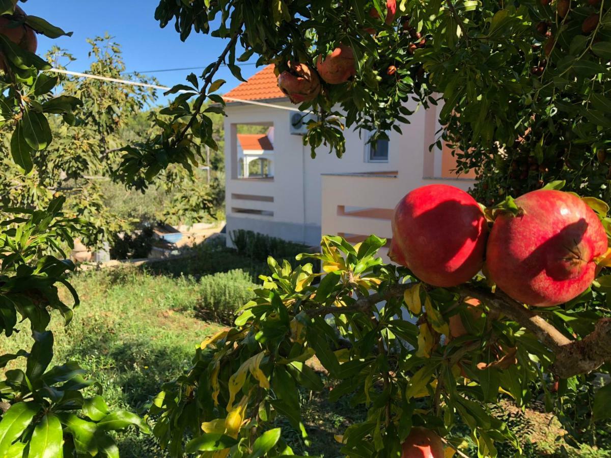 Roses Apartment Lukoran Eksteriør billede